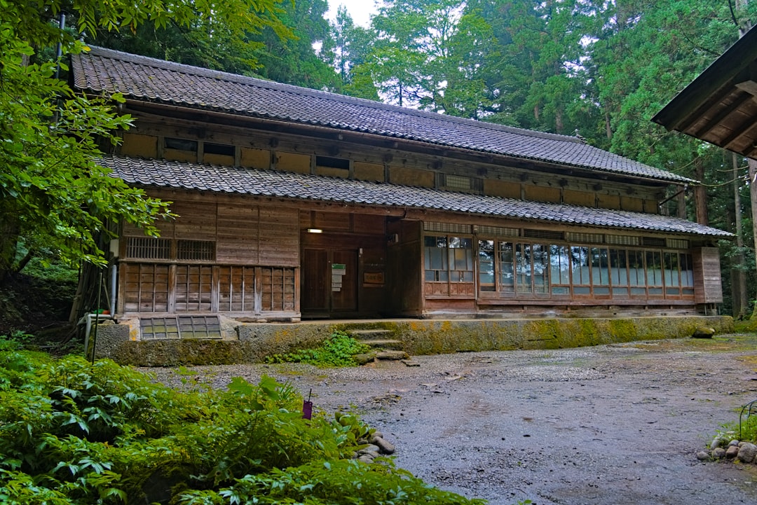 Old wooden building nestled in a lush green forest.