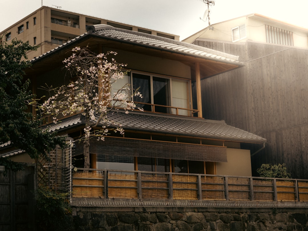Traditional japanese house with cherry blossoms blooming